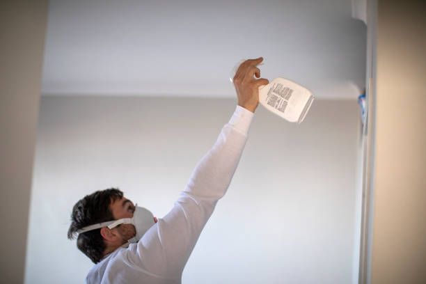 Best Professional Mold Removal  in Eddyville, KY