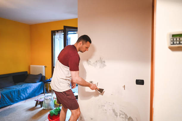 Attic Mold Removal in Eddyville, KY