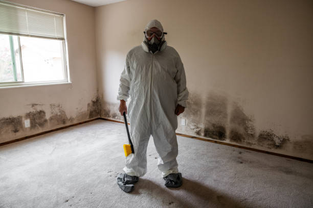 Best Mold Remediation  in Eddyville, KY